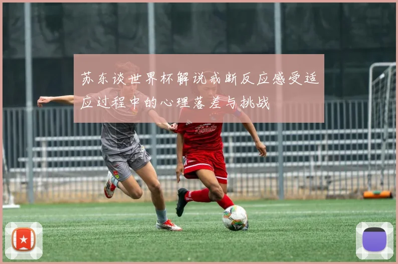 苏东谈世界杯解说戒断反应感受适应过程中的心理落差与挑战